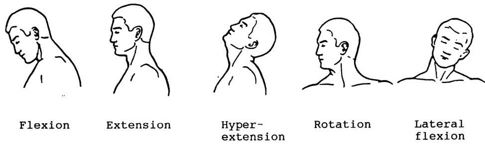 New Leaf Massage And Wellness Definition Of The Week Range Of Motion Rom 1617